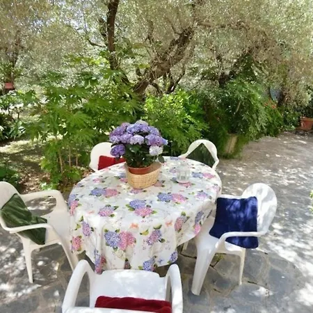 Ferienhaus Fuer 8 Personen Ca 150 Qm In Viareggio, Toskana Provinz Lucca * Viareggio